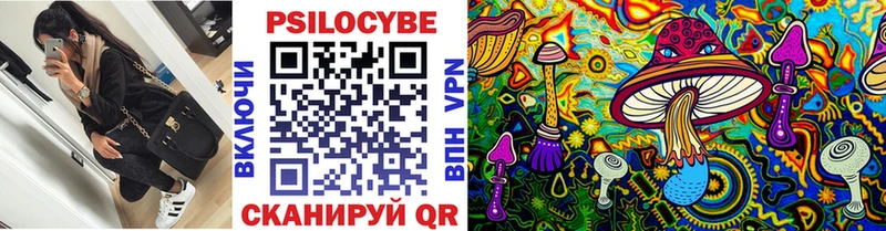 Галлюциногенные грибы Psilocybe  купить  цена  Суровикино 