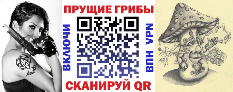 Галлюциногенные грибы Cubensis Суровикино